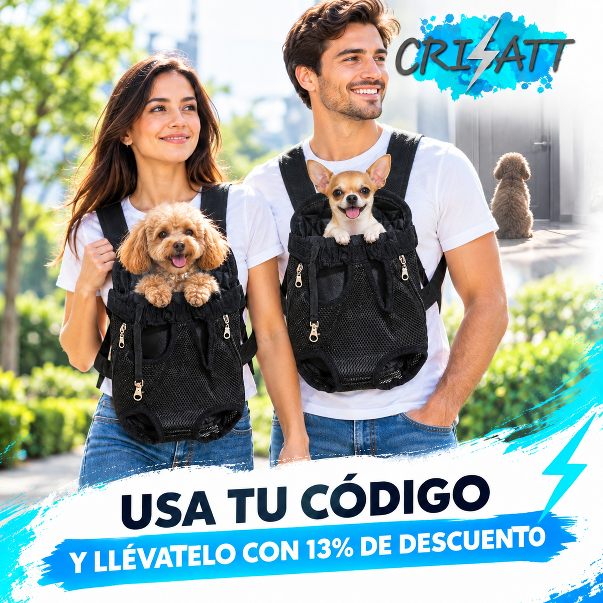 Arnés perro pequeño- vive todo con tu perro- BATTDOG™
