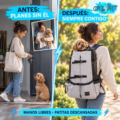 Arnés perro mediano- llevalo contigo a todas partes- medBATT