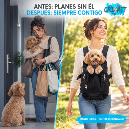 Arnés perro pequeño- vive todo con tu perro- BATTDOG™