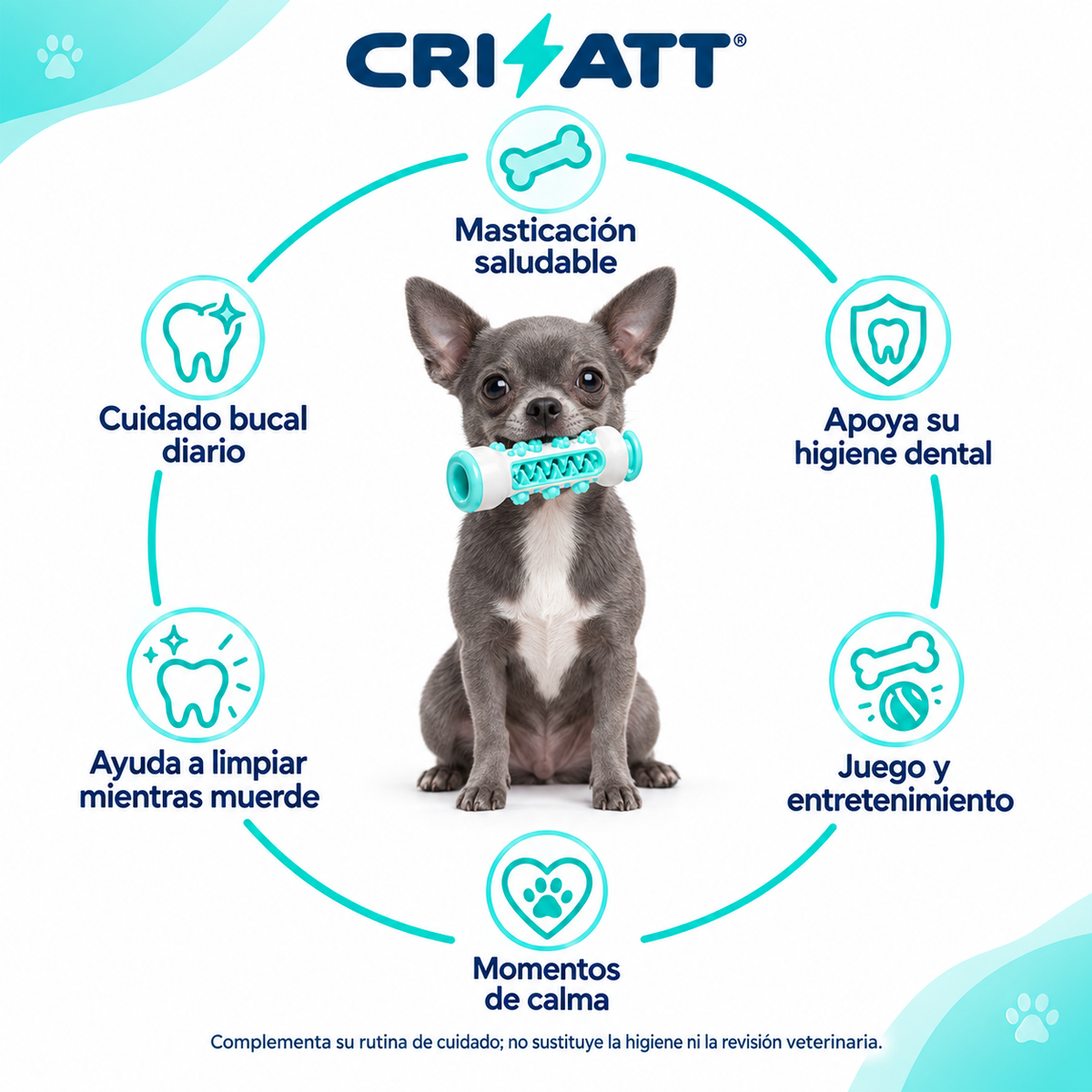 Juguete Dental 2 en 1 para Perros- ByeSarrATT ™