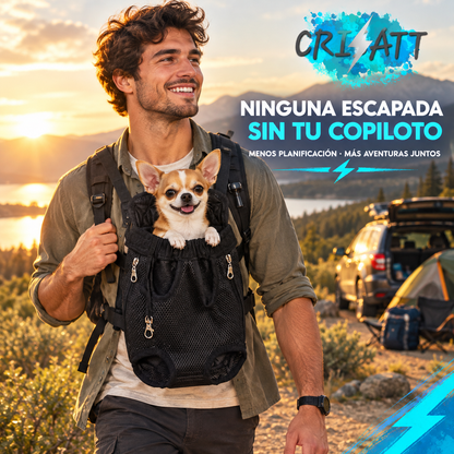 Arnés perro pequeño- vive todo con tu perro- BATTDOG™