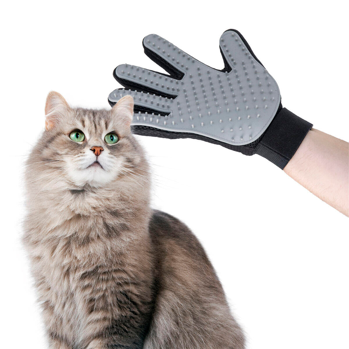 Guante para Cepillar y Masajear Mascotas Relpet InnovaGoods|furATT™