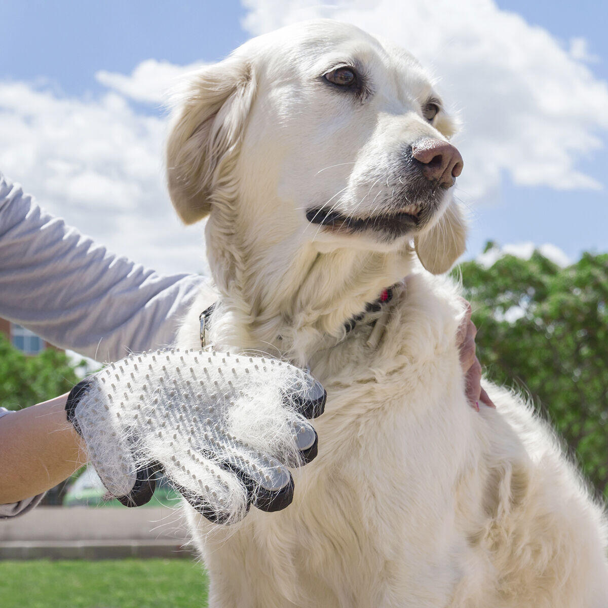 Guante para Cepillar y Masajear Mascotas Relpet InnovaGoods|furATT™