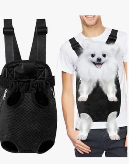 CASCO MOTO PARA PERRO