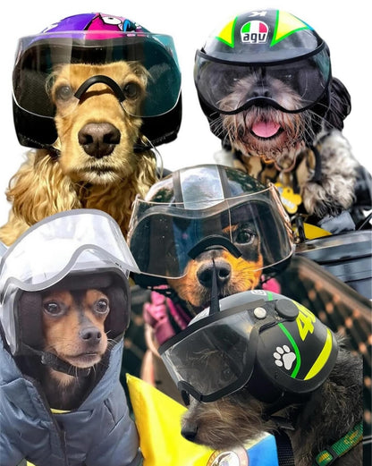 CASCO MOTO PARA PERRO
